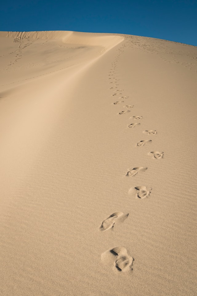 follow footsteps